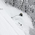 Powder in the Vratna deep forests - February / March 2009